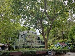 -徐家汇源景区-衡山公园