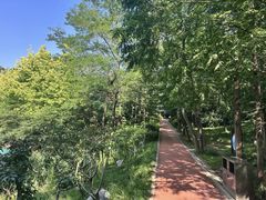 -大连植物园