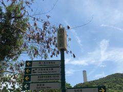 -南丫岛