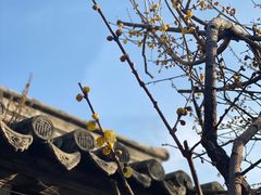 -胡氏古民居建筑