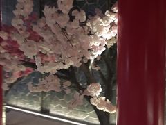 -蓝鲸湾汤泉(包河店)