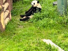 -沈阳森林动物园