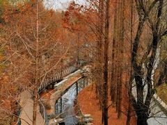 -白水寺森林公园