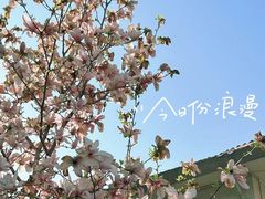 -民园广场