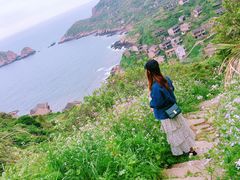 -枸杞岛