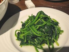 -金枝玉叶上海人家食府(三里河店)