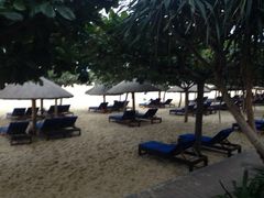 iphone_upload_pic-三亚湾红树林度假世界(木棉酒店)