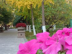 -利顺德大饭店·维多利亚花园(小白楼店)