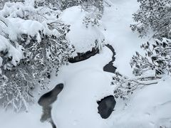 -瓦屋山景区