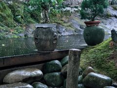 -青竺·青竹茶舍(断桥店)