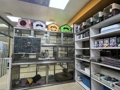 -动物缘宠物医院·骨科·猫科(西二环店)