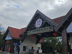 -上海海湾国家森林公园