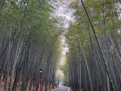 -穹窿山景区