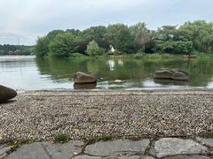 -东方绿舟景区