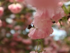 -广东花都香草世界旅游度假区