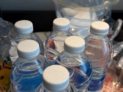 -成都天府丽都喜来登饭店