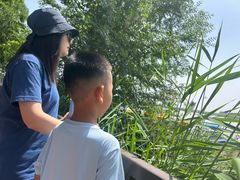 -包头南海湿地景区