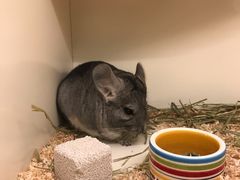 -龙猫仔乐园(惠福东路店)