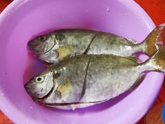 -蚝乡农庄(铁涌赤岸店)