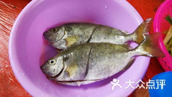 蚝乡农庄图片 - 第33张