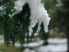 -硗碛藏寨·神木垒景区
