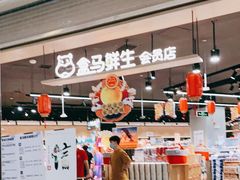 门面-盒马鲜生(岭南新世界店)