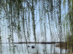 -江苏省泗阳县成子湖旅游度假区综合服务中心-停车场