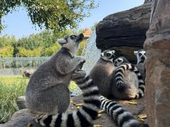 -秦皇岛野生动物园