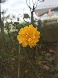 点击看大图 -川沐造型