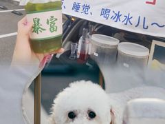 -星光岛