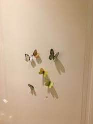 -韩莱科技美肤连锁