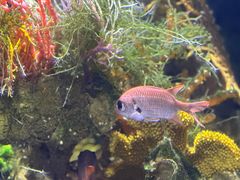 -太平洋海底世界