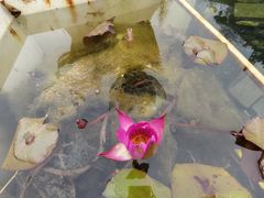 -钱王祠