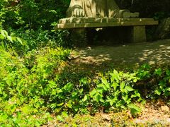 -头陀岭景区