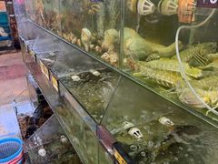 -岛中岛·海鲜大排档·万宁老字号(东澳店)