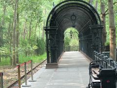 -合肥滨湖国家森林公园