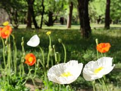 -国家植物园南园