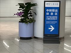 -青岛胶东国际机场