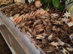 -鲤鱼洲酒店港鲤咖啡厅