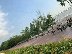 -宝安西湾红树林湿地公园