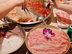 -小龙坎火锅(全球旗舰店)