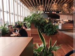 -Seesaw Coffee(朝阳大悦城店)