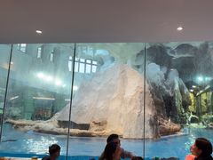 -帝企鹅自助餐厅•儿童岛•真企鹅(长隆企鹅酒店)