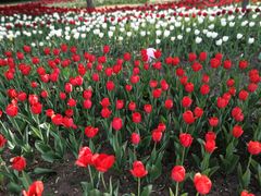 -长春公园(普阳街道)