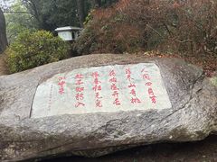 -庐山风景区花径公园