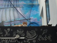 -间隔年海青旅民宿(金石滩发现王国店)