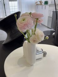-春田皮肤管理中心品牌旗舰店