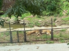 -大连森林动物园