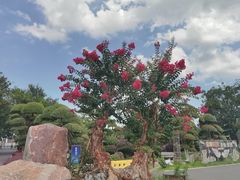 -武汉紫薇都市田园