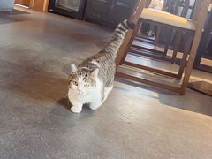 -IFIF 如果花園(宽厚里店)